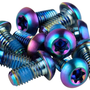 SRAM TITANIUM ROTOR BOLT KIT (RAINBOW)
