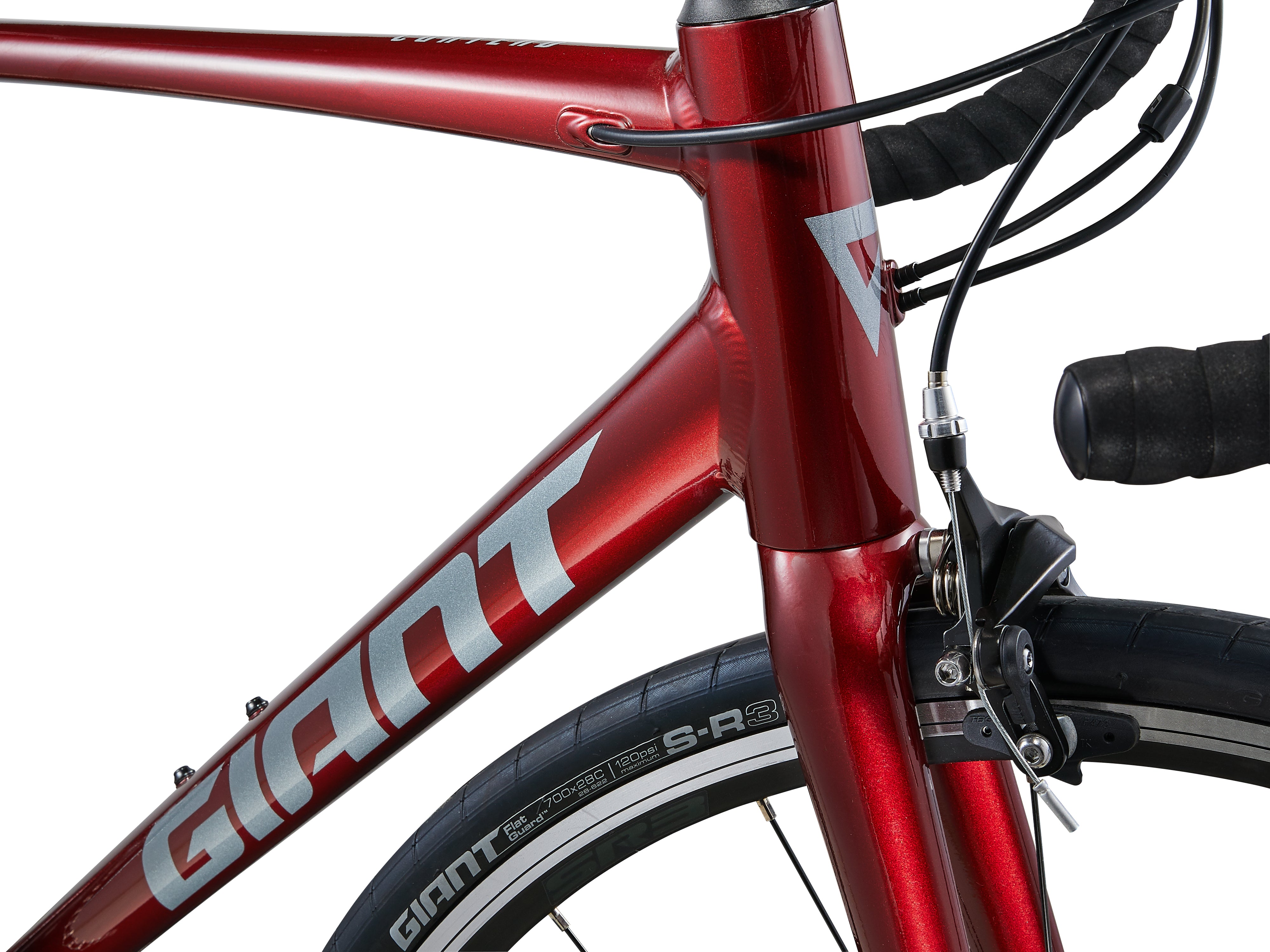 Giant Contend 1 (2024) | Tay Junction