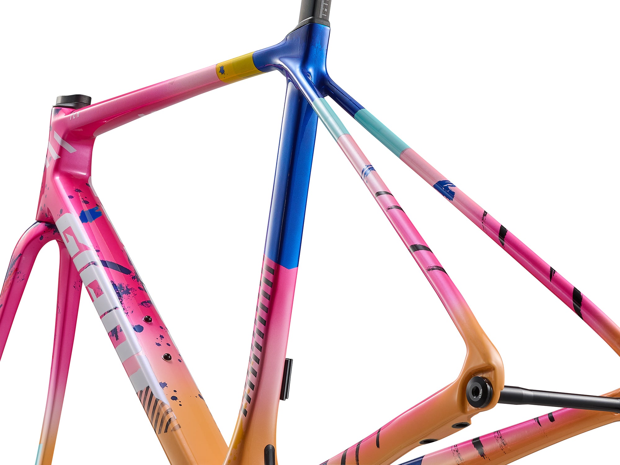 Giant TCR Advanced Pro Frameset (10th Gen) | Tay Junction