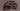 #color_matte-burgundy