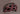 #color_matte-burgundy