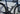 #color-metallic-navy-gold