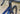 #color-metallic-navy-gold